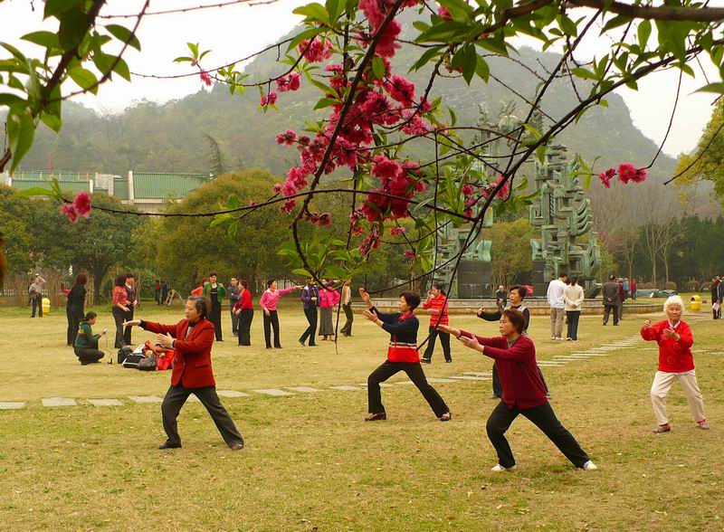 6755_225084