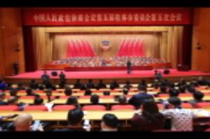 政协第五届桂林市委员会第五次会议进行大会选举  补选陈丽华为政协桂林市第五届委员会主席